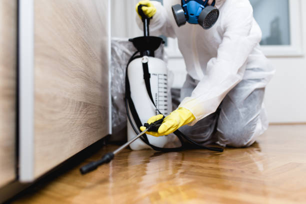 Professional Pest Control in Benavides, TX