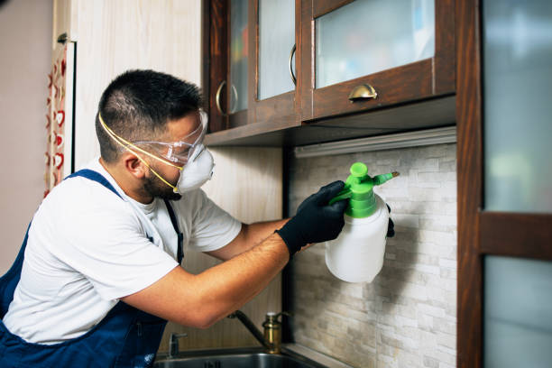 Best Affordable Pest Control Services  in Benavides, TX