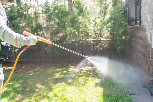 Best Wasp Removal Services  in Benavides, TX