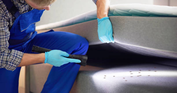 Best Bed Bug Extermination  in Benavides, TX